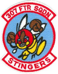 307th Fighter Squadron
