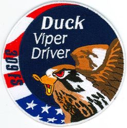 309th Fighter Squadron F-16 Pilot Swirl
