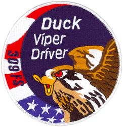 309th Fighter Squadron F-16 Pilot Swirl
