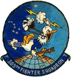 309th Fighter-Escort Squadron, 309th Strategic Fighter Squadron and 309th Fighter-Bomber Squadron
