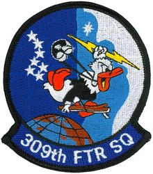309th Fighter Squadron
