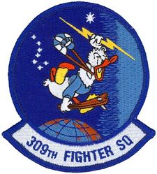 309th Fighter Squadron
