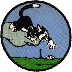 Air Anti-Submarine Squadron 31 (VS-30)
Established as Established as Composite Squadron EIGHT ZERO ONE (VC-801) after WW-II. Redesignated Air Anti-Submarine Squadron EIGHT ZERO ONE (VS-801) on 1 Aug 1950; Air Anti-Submarine Squadron THREE ZERO  (VS-30) on 1 Apr 1953. Disestablished on 1 Dec 2005.

Grumman TBM-3E Avenger, 1951-1952
Grumman AF-2W/2S Guardian, 1952-1954
Grumman S-2F/E/G Tracker, 1954-1976
Lockheed S-3A/B Viking, 1976-2005

