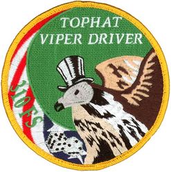 310th Fighter Squadron F-16 Pilot Swirl
