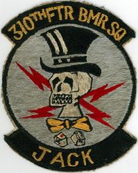 310th Fighter-Bomber Squadron 
