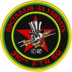 310th Fighter Squadron Aggressor
