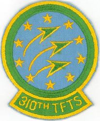 310th Tactical Fighter Training Squadron 
