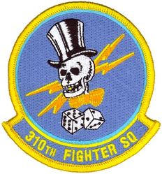 310th Fighter Squadron

