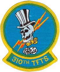 310th Tactical Fighter Training Squadron 
