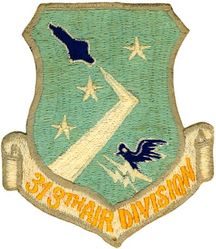 313th Air Division
