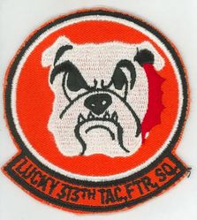 313th Tactical Fighter Squadron 
