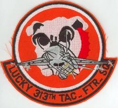 313th Tactical Fighter Squadron F-16
