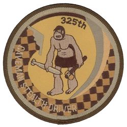 325th Bomb Squadron B-2 Pilot
Keywords: desert