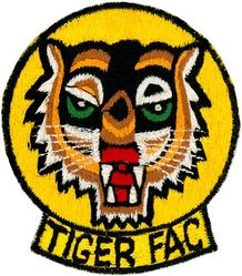 34th Tactical Fighter Squadron Tiger Forward Air Controller
