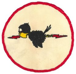 343d Strategic Reconnaissance Squadron, Medium
