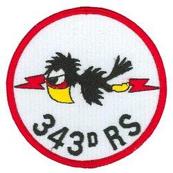 343d Reconnaissance Squadron
