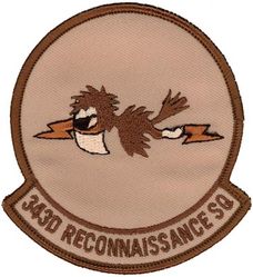 343d Reconnaissance Squadron
Keywords: desert