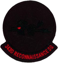 343d Reconnaissance Squadron
