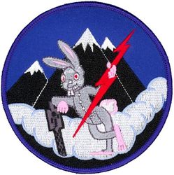 343d Reconnaissance Squadron Heritage
