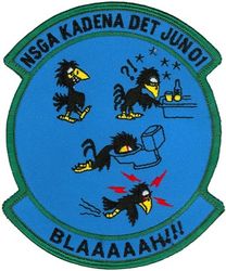343d Strategic Reconnaissance Squadron Naval Security Group Activity Kadena Detachment June 2001
