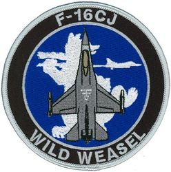 35th Fighter Wing F-16CJ Wild Weasel
