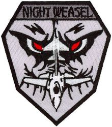 35th Fighter Wing F-16 Night Vision Goggles
