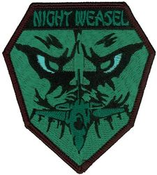 35th Fighter Wing F-16 Night Vision Goggles
