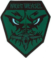 35th Fighter Wing F-16 Night Vision Goggles
