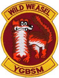 35th Fighter Wing Wild Weasel
