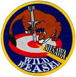 35th Fighter Wing Wild Weasel
