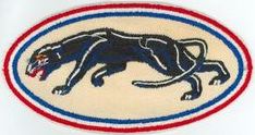 35th Fighter Squadron, Single Engine and 35th Fighter Squadron, Jet

