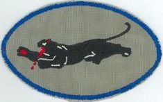 35th Fighter-Bomber Squadron 
