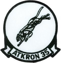 Attack Squadron 35 (VA-35) 
Established as Bombing Squadron THREE B (VB-3B) "Black Panthers" on 1 Jul 1934. Redesignated Bombing Squadron FOUR (VB-4) on 1 Jul 1937; Bombing Squadron THREE (VB-3) on 1 Jul 1939; Attack Squadron THREE A (VA-3A) on 15 Nov 1946; Attack Squadron THIRTY FOUR (VA34) on 7 Aug 1948; Attack Squadron THIRTY FIVE (VA35) on 15 Feb 1950. Disestablished on 31 Jan 1995. The second squadron to be assigned the VA-35 designation. 

Douglas AD-3; AD-4; AD-4B; AD-4L; AD-4N; AD-5; AD-6; A-IH Skyraider, 1950-1965
Grumman A-6A/B/C/E/KA-6D Intruder, 1965-1995

