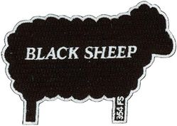 354th Fighter Squadron Morale
