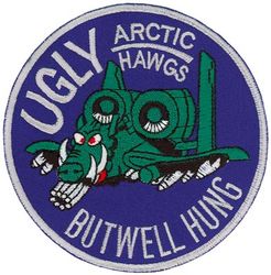 355th Fighter Squadron A-10 Morale
