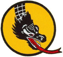 357th Fighter Squadron 
