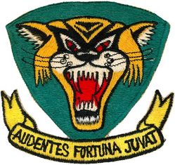 391st Tactical Fighter Squadron
