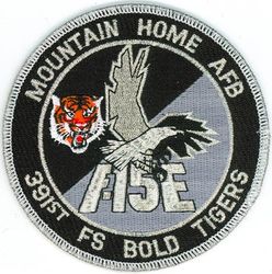 391st Fighter Squadron F-15E 
