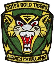 391st Fighter Squadron Morale
Translation: AUDENTES FORTUNA JUVAT = Fortune Favors the Bold
