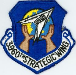 3960th Strategic Wing 
