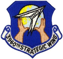 3960th Strategic Wing 
