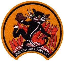 Composite Squadron 4 (VC-4) & Fighter Squadron (All Weather) 4 (VF(AW)-4)
VC-4 & VF(AW)-4 "Nightcappers"
Established as VC-4 on 28 Sep 1948; VF(AW)-4 on 2 Jul 1956. Disestablished on 31 Aug 1959
Douglas AD-1Q; AD-2Q; AD-5 Skyraider
Grumman TBF-3E; TBM-3E; TBM-3N  Avenger 
Grumman F6F-5; F6F-5N Hellcat
North American SNJ Texan
Beechcraft  JRB-4
Grumman F8F-2N Bearcat
Vought  F4U-4; F4U-5N; F4U-5NL Corsair
Martin AM-1Q Mauler
McDonnell F2H-2N; F2H-3; F2H-4 Banshee
Douglas F3D-2 Skyknight
Beechcraft  SNB-5
Lockheed TV-2 Sea Star
Douglas F4D Skyray 
Vought F8U Crusader
Grumman F9F-6 Cougar
Translation: NOX MEA AUXILIATRIX EST = Night is My Ally
