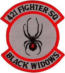421st Fighter Squadron
