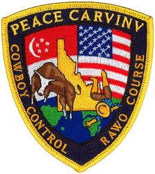 428th Fighter Squadron PEACE CARVIN V
