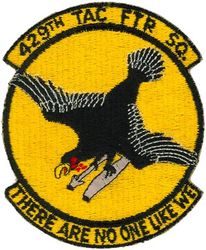 429th Tactical Fighter Squadron 
