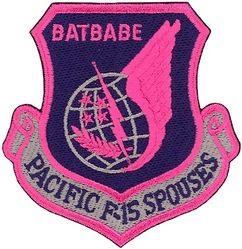 44th Fighter Squadron Pacific Air Forces Morale
