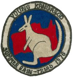 44th Tactical Fighter Squadron Exercise TRIAD 1976
