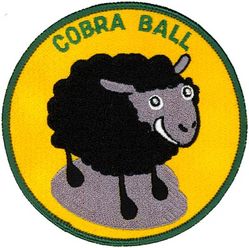 45th Reconnaissance Squadron RC-135S Cobra Ball Morale
