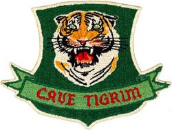 460th Fighter-Interceptor Squadron 
