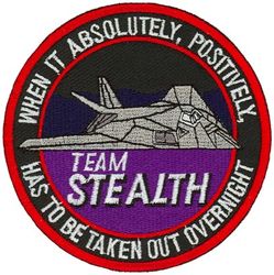 49th Fighter Wing F-117
